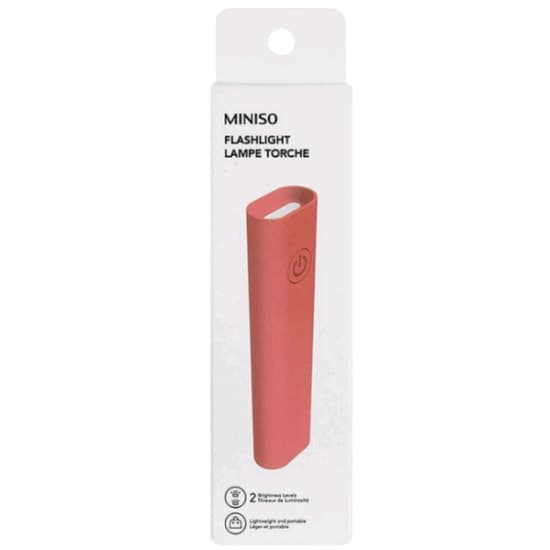 Flashlight torche